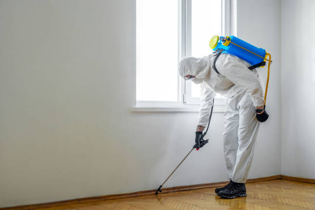 Reliable Saybrook Manor, CT Pest Control Solutions